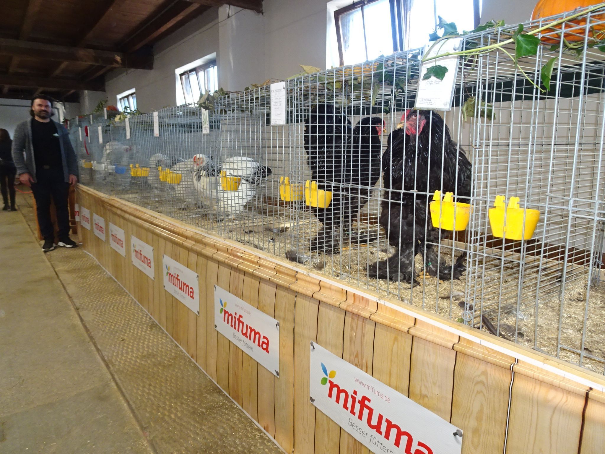 Käfig an Käfig mit prächtigen Tieren reihte sich durch die Schorenhalle.