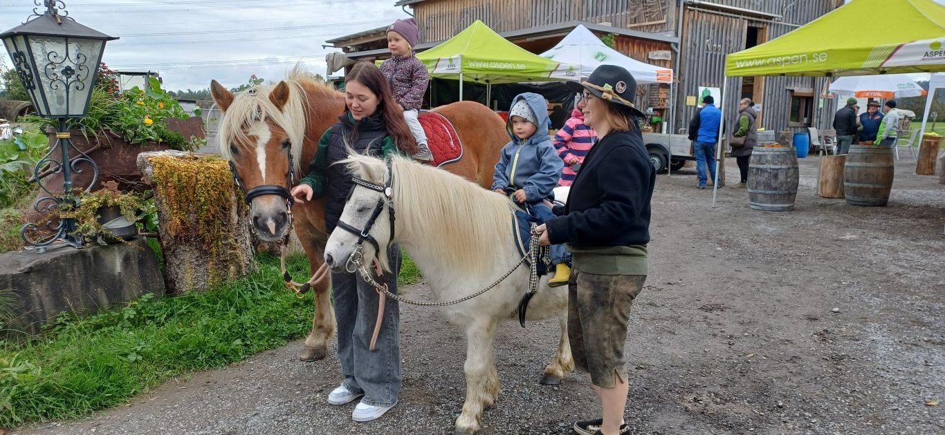 Höhepunkt für die Kinder: Pony Apollo und Haflingerstute Betty.