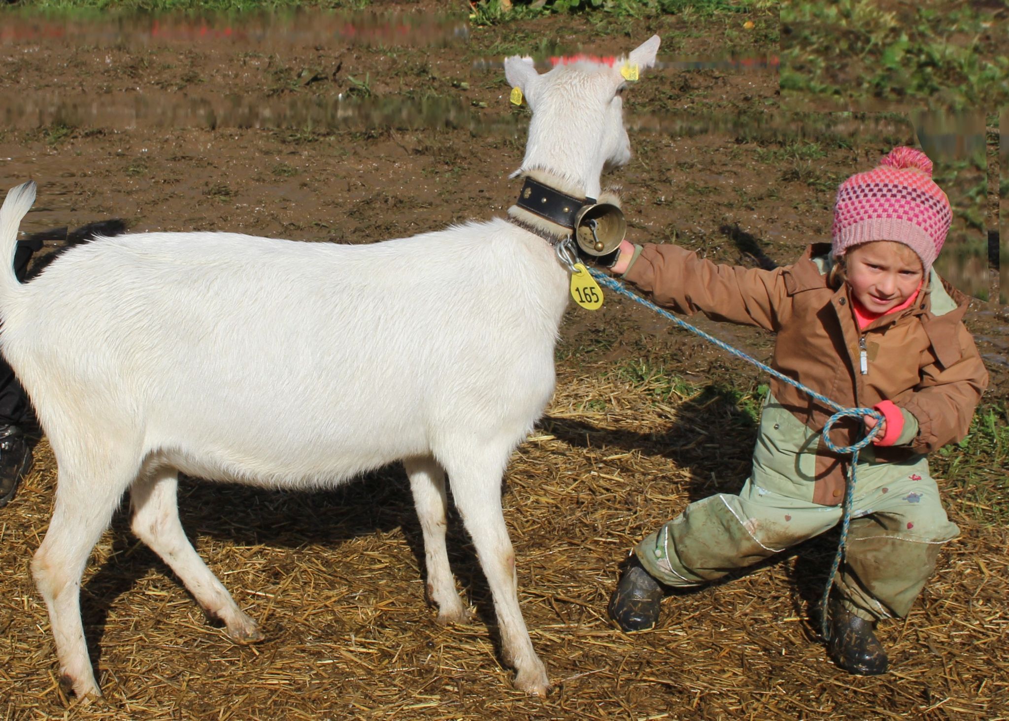 Hör auf zu meckern und komm endlich - die Jury wartet nicht ewig auf uns . . .!