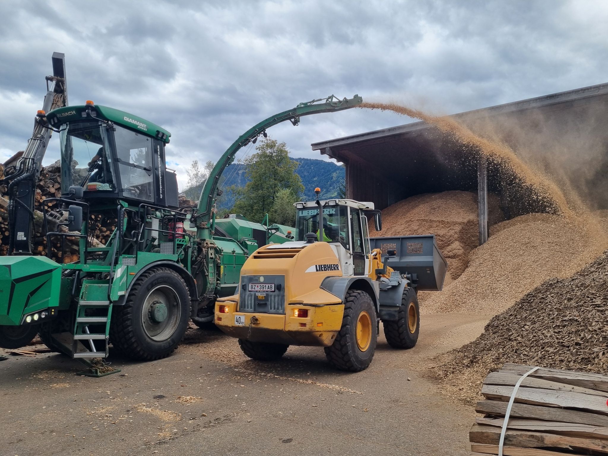 60 Jahre Agrargemeinschaft Nenzing (Bildergalerie)