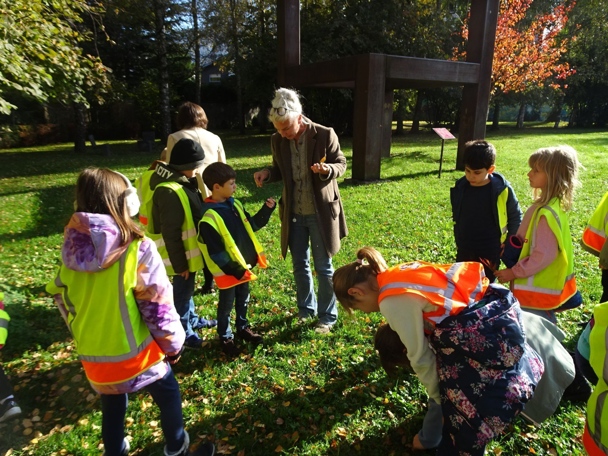 Im Stadtgarten machten sich die Kinder der 2a Klasse der VS Leopold beim inatura-Workshop auf die Suche nach Birkensamen.