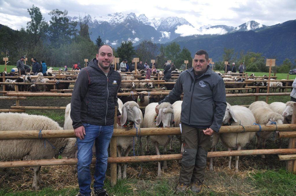 Schafzuchtverein Bludenz und Umgebung stellte aus
