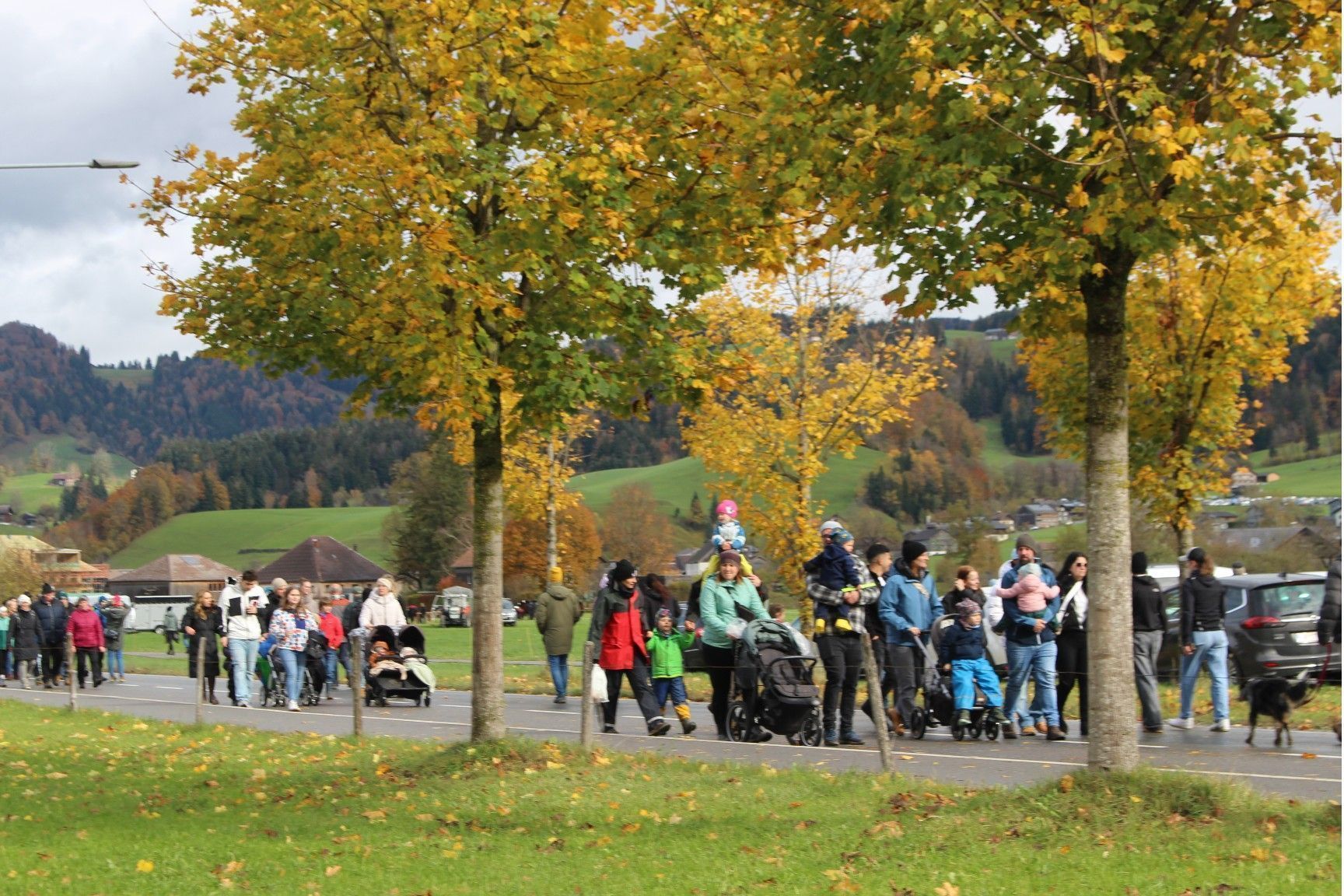 Kleine „Völkerwanderung“ vom Markt im Ortszentrum zur Ziegenschau beim Betonei..