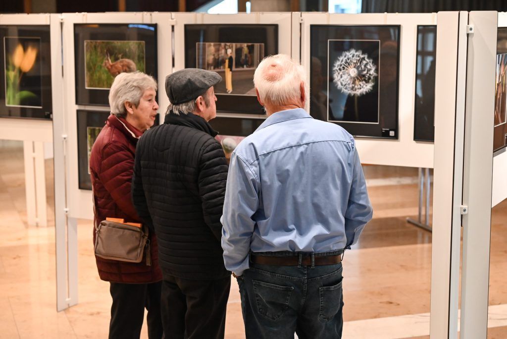 Ausstellung in Lustenau: Fotokunst für den guten Zweck