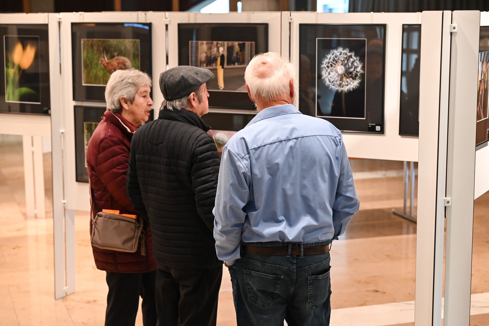 Fotoclub Lustenau stellte neueste Werke im Reichshofsaal aus. Diese konnten für den guten Zweck erworben werden.