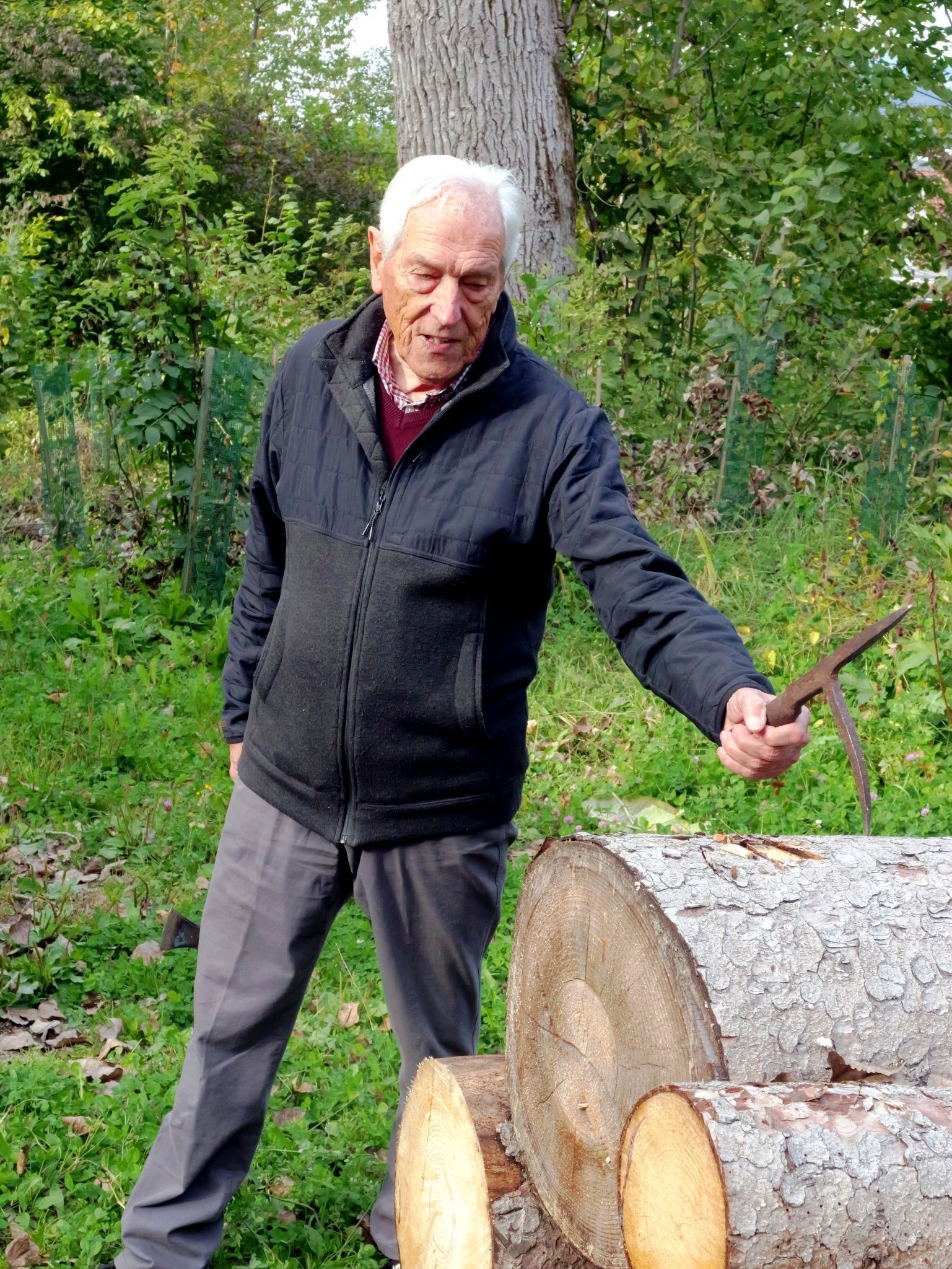 Josef Bechtold zeigt, wie das Holz markiert wurde.