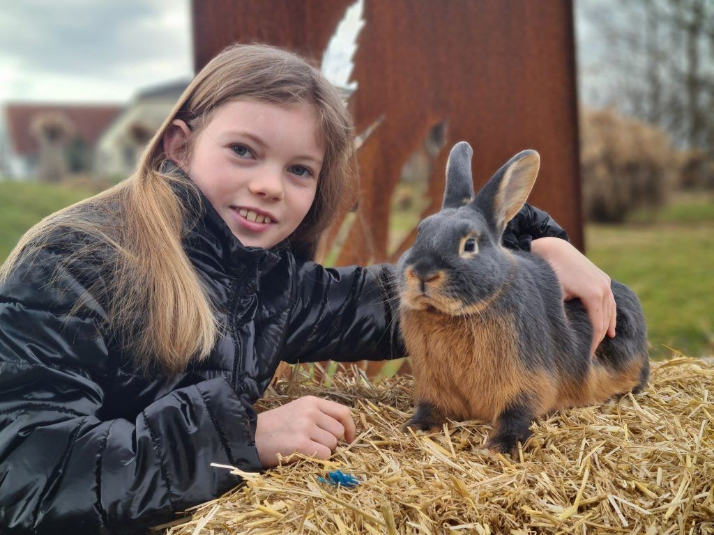 Ein Herz schlägt für Tiere und Musik