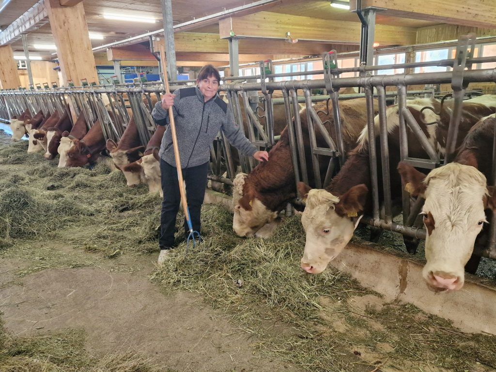 Traditionelle Landwirtschaft mit modernen Maschinen
