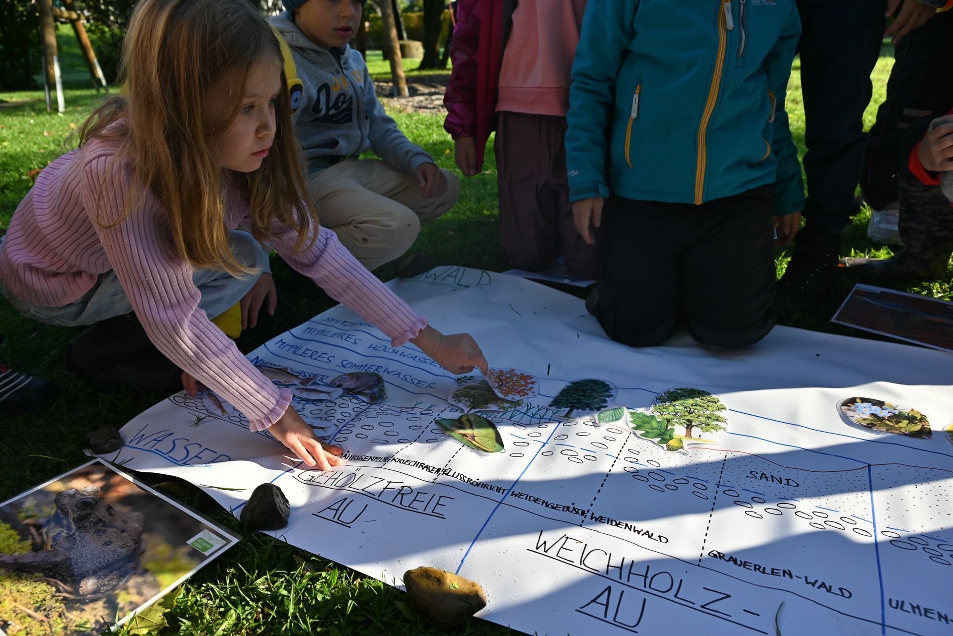 Die Kinder der Volksschule Rotkreuz erfuhren, welche Artenvielfalt bei uns in den Auwäldern herrscht.