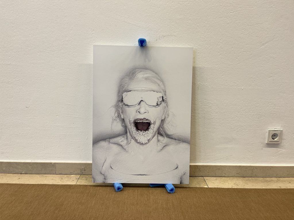 Gesichter einer Sammlung