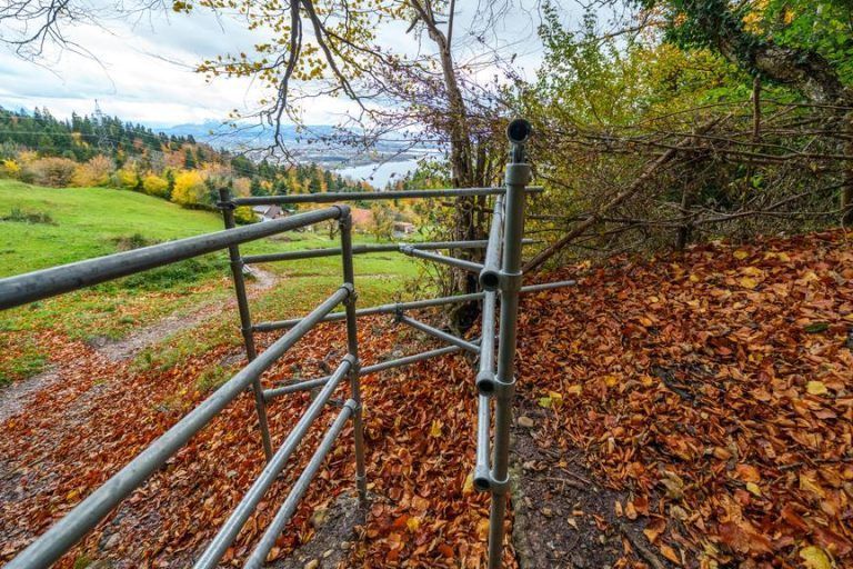 Rücksichtlose und gewaltbereite  Mountainbiker sorgen für Ärger am Pfänder: „Es artet aus“
