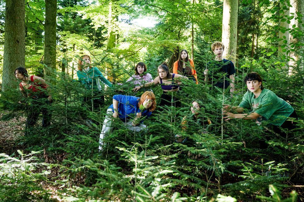 Wenn der Wald zurückschlägt