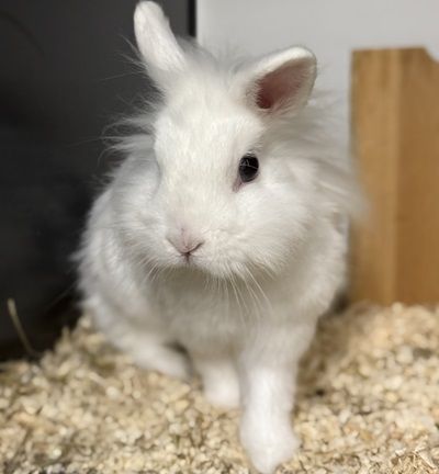 Mira sehnt sich nach einem neuen Abenteuer