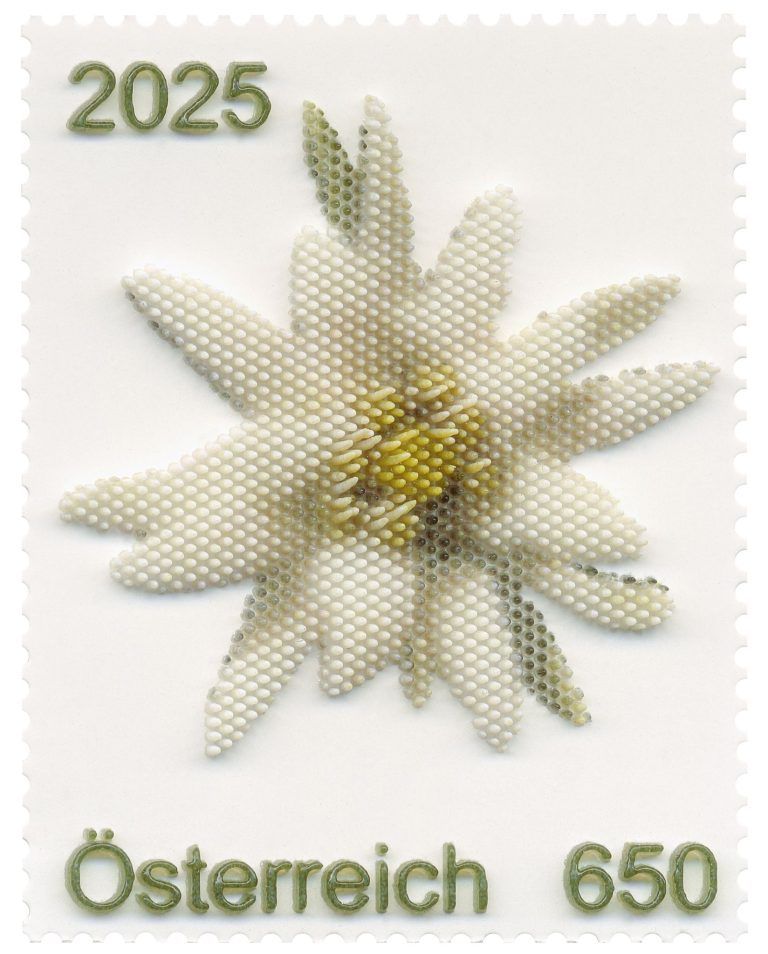 Hämmerle & Vogel