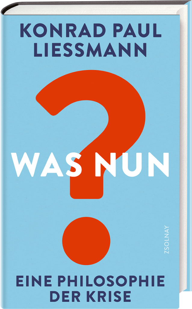 Die Krise als Erkenntnismoment