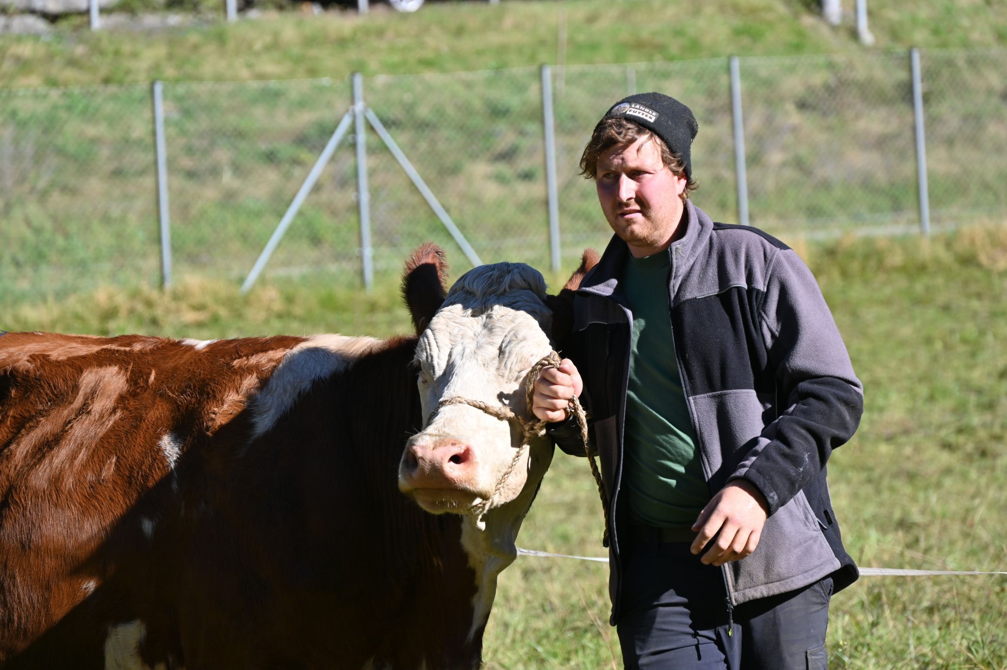 Landwirte aus dem Klostertal präsentierten ihr Vieh bei der Viehausstellung auf der Allmein