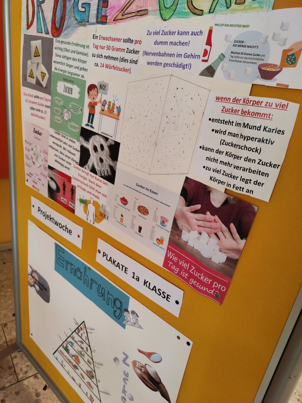 Die Mittelschule Baumgarten setzt auf nachhaltigen Unterricht und Stärkung des Bewusstseins für die Gesundheit.