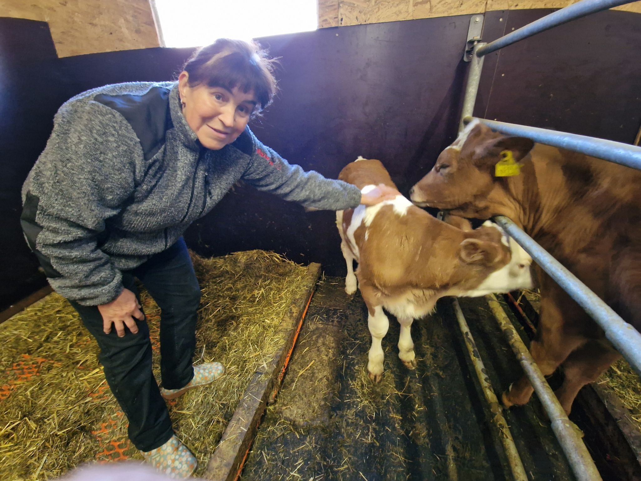 1 Annemarie Kaufmann ist gerne Bäuerin und packt auch gerne selber mit an. 1.1 Biohof Kaufmann in Zug – oberhalb thront der Schafberg. Annemarie Kaufmann freut sich, dass sie ein Familienbetrieb sind. Hier mit Hofhund Leila. 1.2 Detto 2. Die Fleckviehkühe im Laufstall 3. Die Landwirtin mit viel Herzblut ist gerne im Stall und bei ihren Kühen. 4. Die beiden Schwarznasenschafe Susi und Strolchi lassen sich gerne verwöhnen. 5.1. Susi und Strolchi gehören auch zu Annemaries Lieblingen. 6. Auch die Pferde sind neugierig wer auf zu Besuch kommt. 7. Das Bergdorf Zug zeigt sich gerade von seiner schönsten herbstlichen Seite. 8. Für Annemarie Kaufmann ist der Hofladen auch ein zentraler Treffpunkt. 8.1. Der Hofladen bietet für alle etwas. 8.2. detto 9. Der Biohof ist von hohen Bergen umgeben. 10. Ein modernes landwirtschaftliches Gerät - Der Schleppschuh-Gülleverteiler ist sehr bodenschonend. 11. Ein Blick auf die Golfanlage. 12. Herbstliches Arrangement vor dem Hofladen. 13. - 14. Auch die beiden Kälblein Ilvy und Hubi freuen sich auf einen Besuch. 15. Annemarie Kaufmann lernte die Landwirtschaft von der Pike auf. 16. Blick in die Zuger Bergwelt. 17. Der Schafberg thron Majestätisch über dem Biohof. 18. Eine hohe Auszeichnung für die Zuger Sennstube für die Familie Kaufmann. (Bildergalerie)