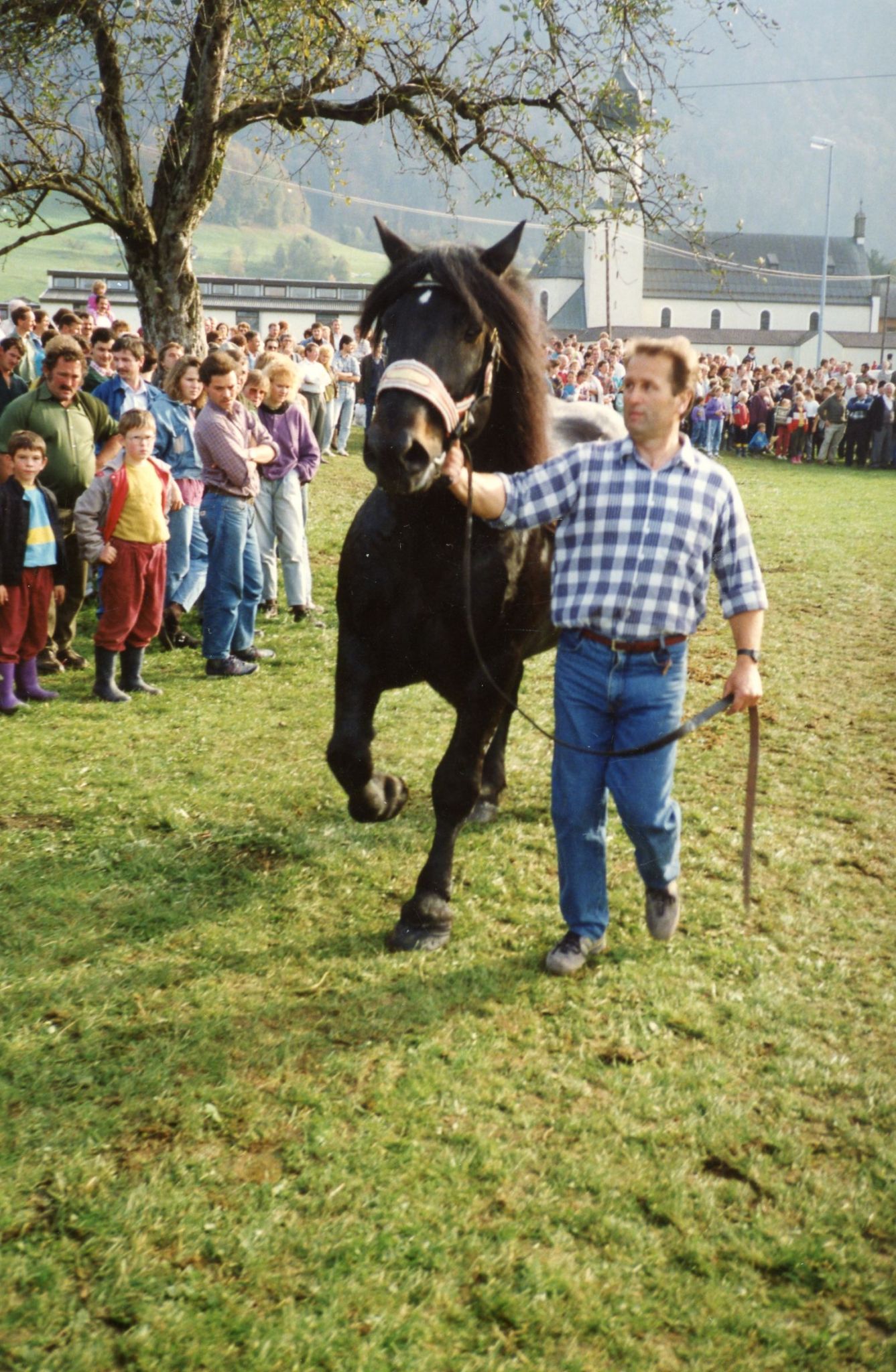 Josef mit seinem Norikerhengst bei der Pferdeausstellung in Andelsbuch 1989.