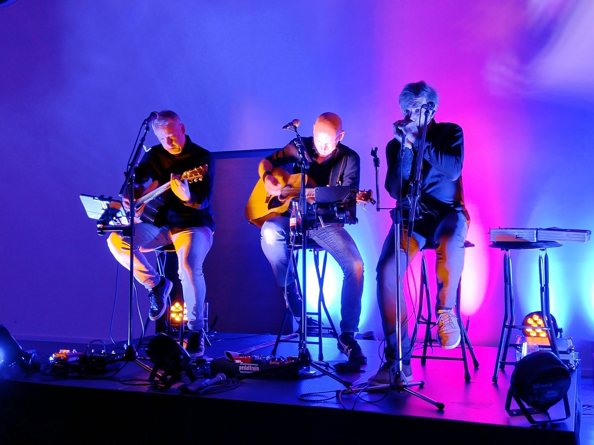 Mit Leidenschaft, Groove und handgemachter Musik sorgte das Trio für beste Stimmung im Saal.