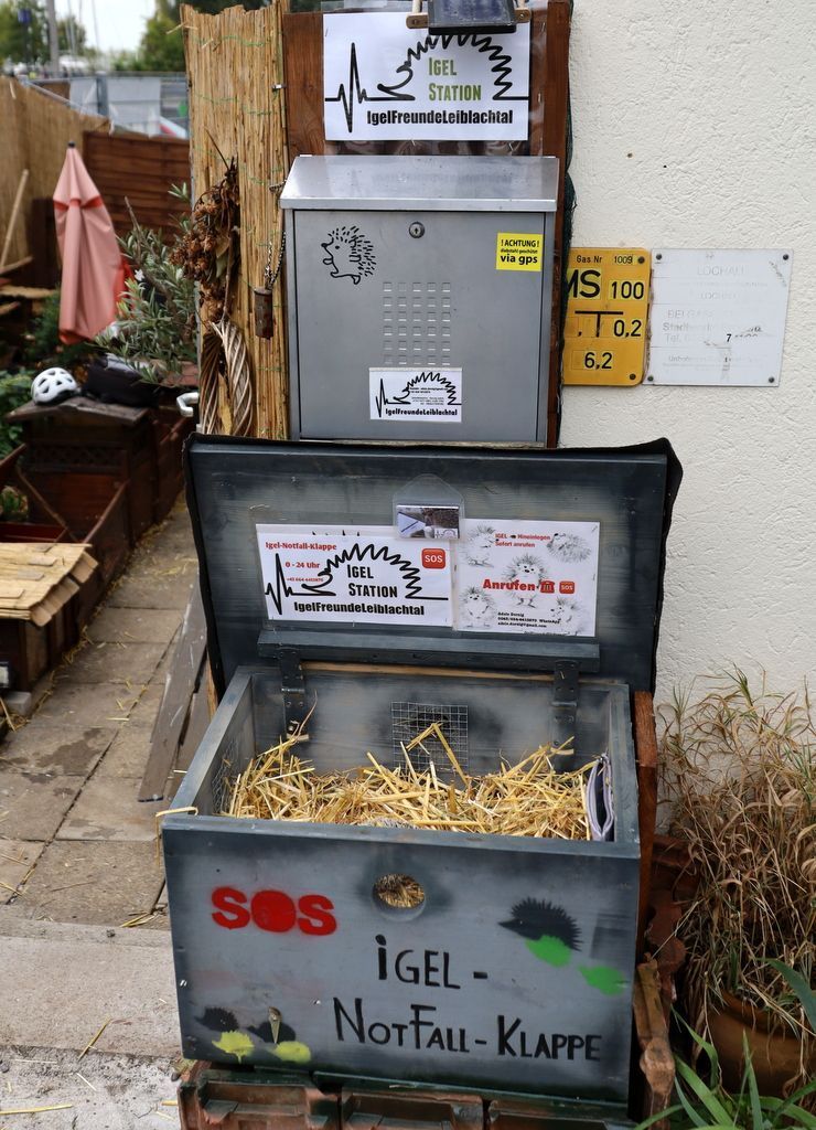 24-Stunden-Notfallklappe für Igel