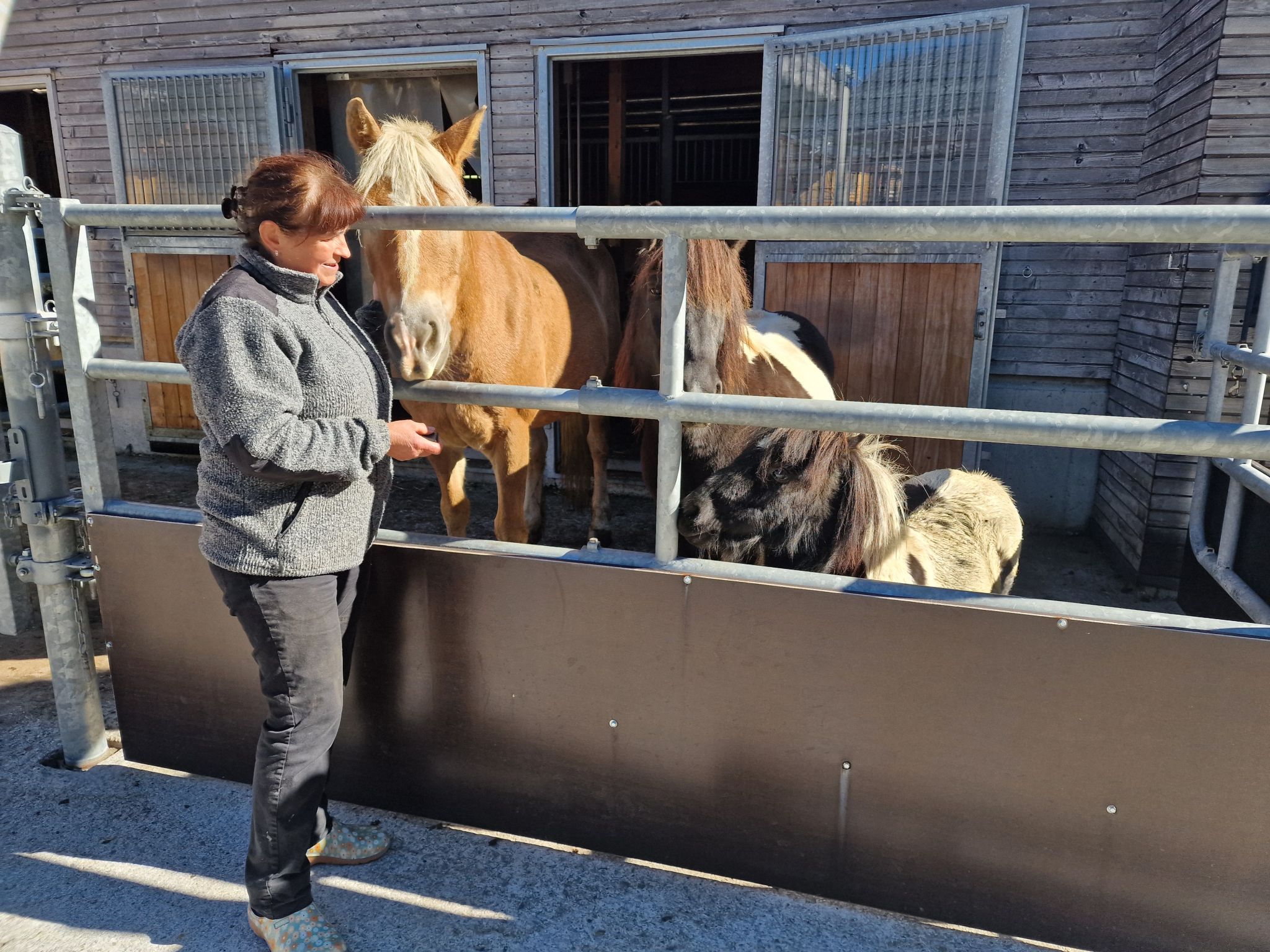1 Annemarie Kaufmann ist gerne Bäuerin und packt auch gerne selber mit an. 1.1 Biohof Kaufmann in Zug – oberhalb thront der Schafberg. Annemarie Kaufmann freut sich, dass sie ein Familienbetrieb sind. Hier mit Hofhund Leila. 1.2 Detto 2. Die Fleckviehkühe im Laufstall 3. Die Landwirtin mit viel Herzblut ist gerne im Stall und bei ihren Kühen. 4. Die beiden Schwarznasenschafe Susi und Strolchi lassen sich gerne verwöhnen. 5.1. Susi und Strolchi gehören auch zu Annemaries Lieblingen. 6. Auch die Pferde sind neugierig wer auf zu Besuch kommt. 7. Das Bergdorf Zug zeigt sich gerade von seiner schönsten herbstlichen Seite. 8. Für Annemarie Kaufmann ist der Hofladen auch ein zentraler Treffpunkt. 8.1. Der Hofladen bietet für alle etwas. 8.2. detto 9. Der Biohof ist von hohen Bergen umgeben. 10. Ein modernes landwirtschaftliches Gerät - Der Schleppschuh-Gülleverteiler ist sehr bodenschonend. 11. Ein Blick auf die Golfanlage. 12. Herbstliches Arrangement vor dem Hofladen. 13. - 14. Auch die beiden Kälblein Ilvy und Hubi freuen sich auf einen Besuch. 15. Annemarie Kaufmann lernte die Landwirtschaft von der Pike auf. 16. Blick in die Zuger Bergwelt. 17. Der Schafberg thron Majestätisch über dem Biohof. 18. Eine hohe Auszeichnung für die Zuger Sennstube für die Familie Kaufmann. (Bildergalerie)