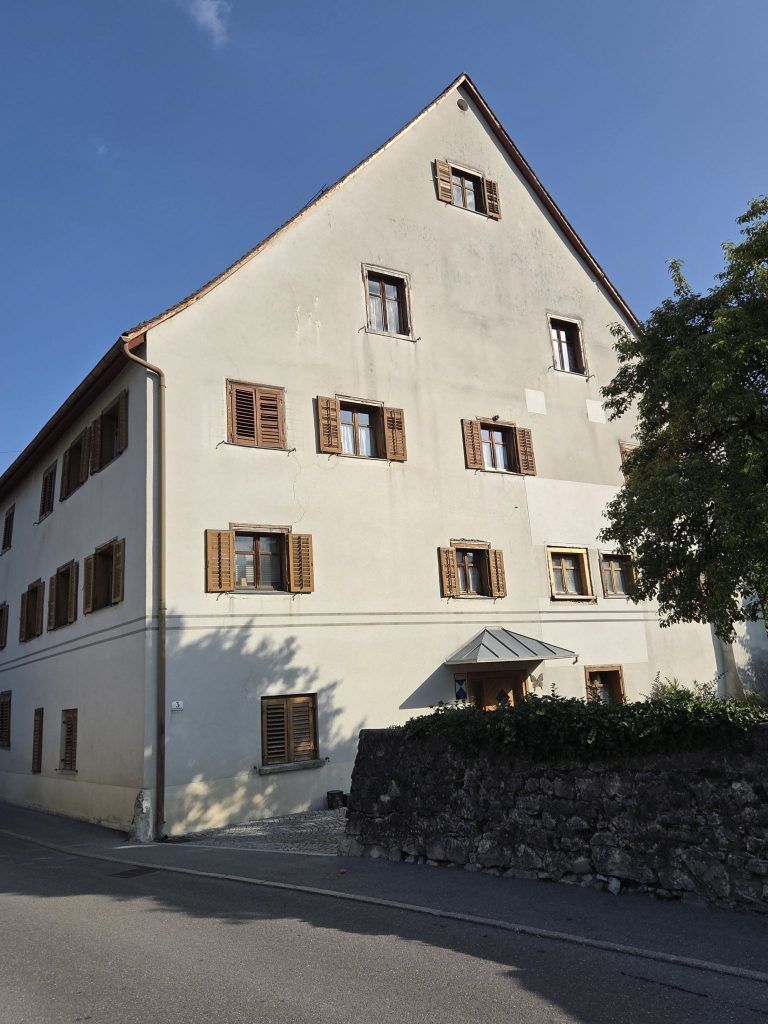 Bauhistorische Untersuchung im Zürcherhaus brachte Sensation
