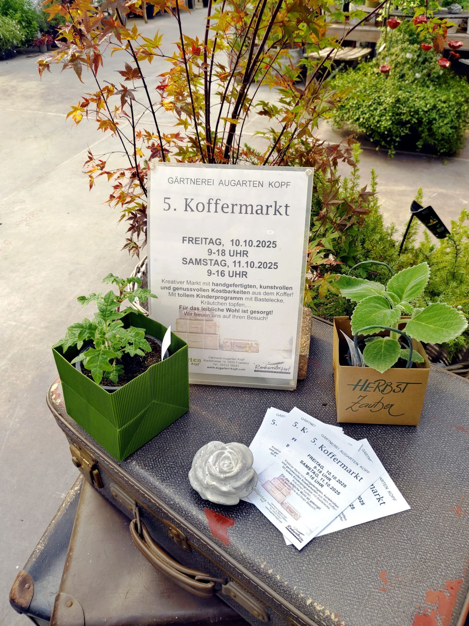Zehn Jahre Koffermarkt in der Gärtnerei wurden mit viel Kreativität gefeiert.