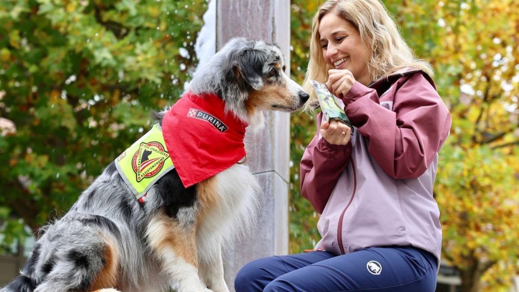 Ein Schutzengel auf vier Pfoten