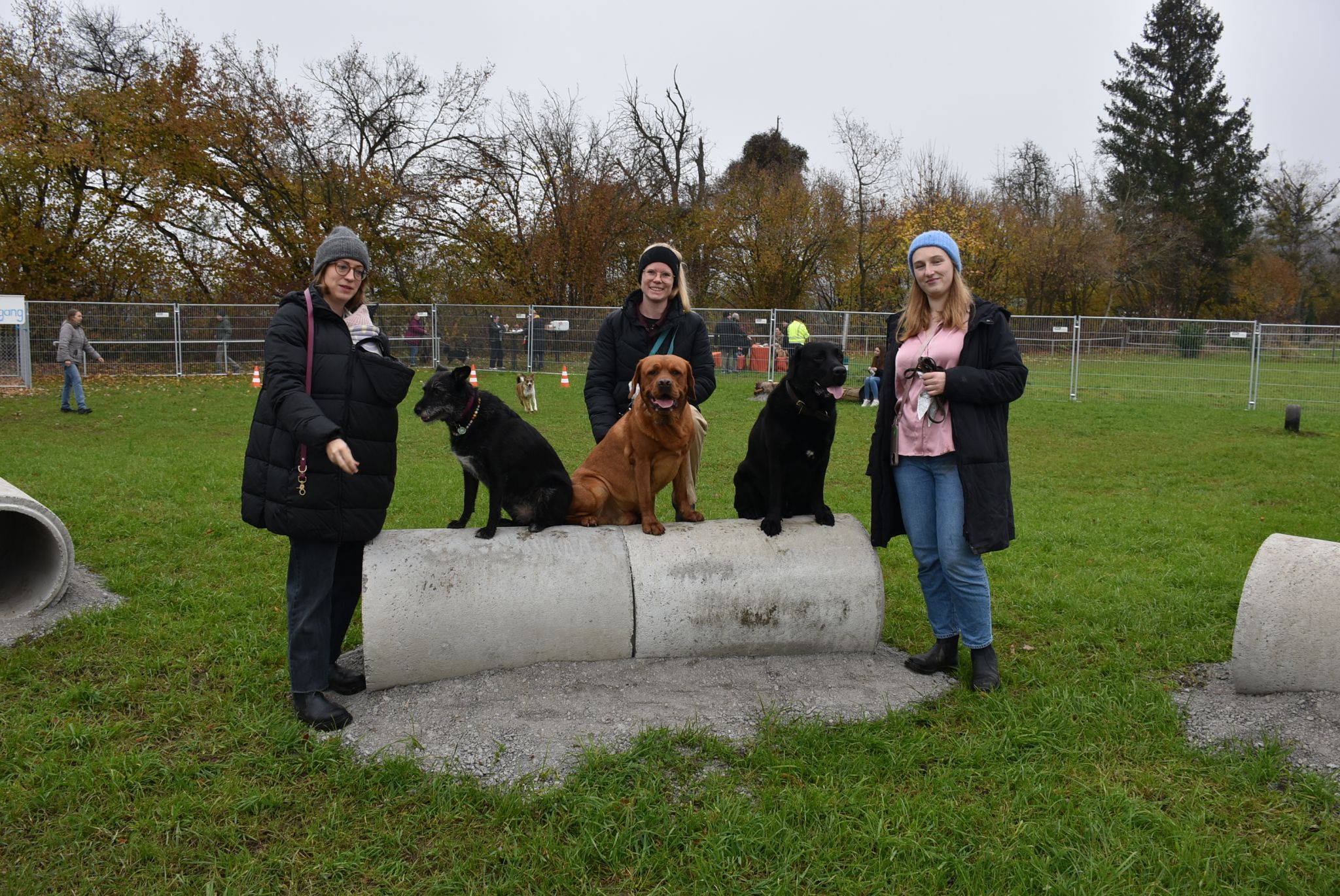 Catrin Kreyer, Bettina Sutter und Julia Meusburger mit ihren Hunden
