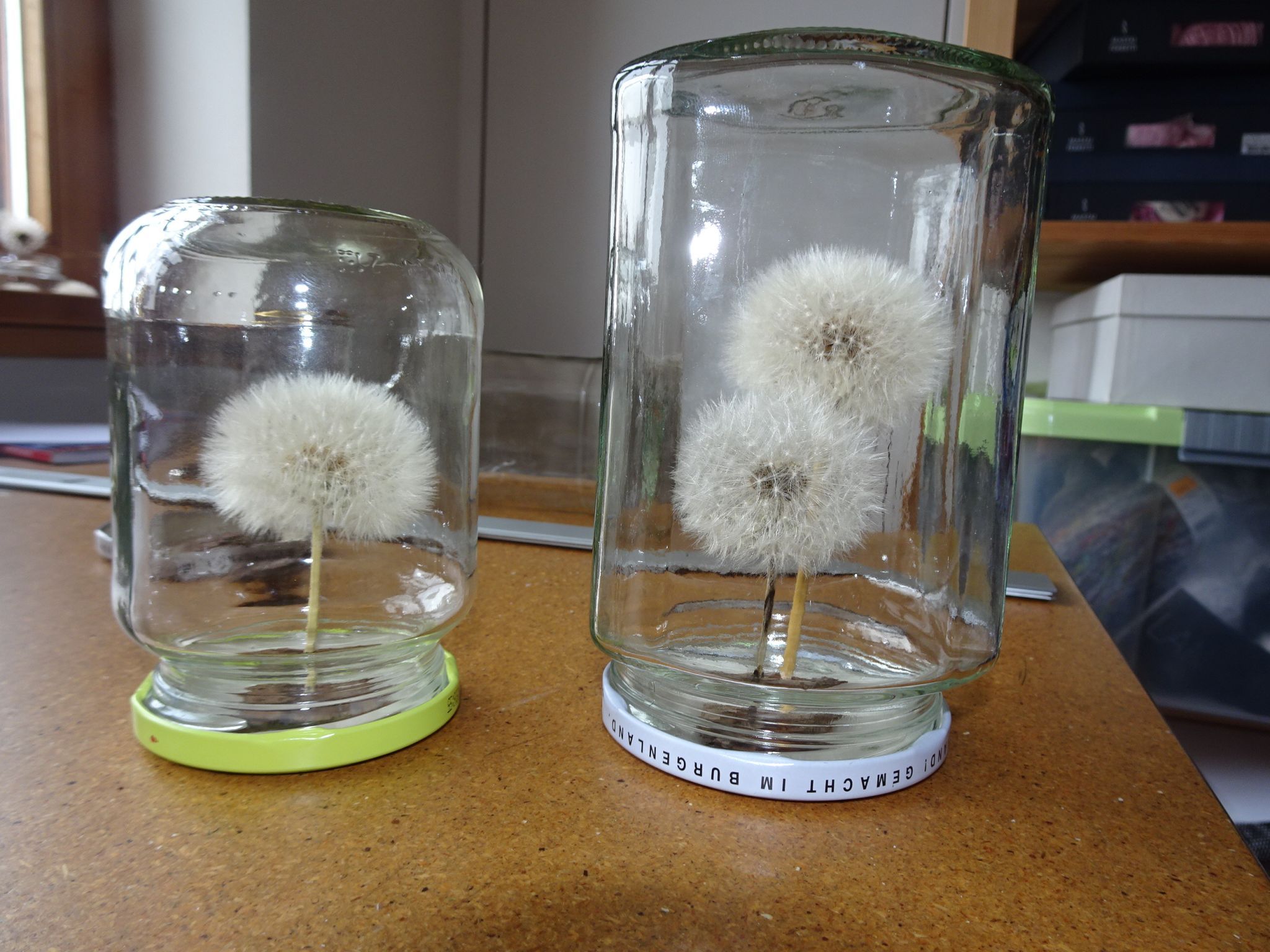 Die neuesten Kreationen im kreativen Universum von Andrea Sandri: Sommer im Glas.