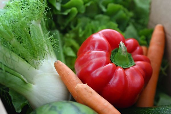 An Bauern geht nur kleiner Teil von Lebensmittelausgaben