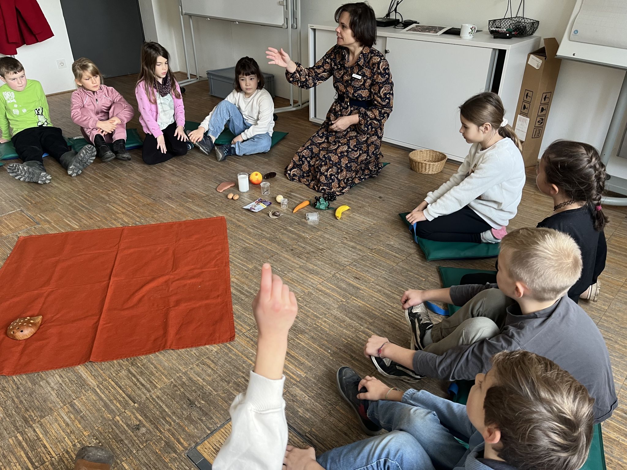 Museumspädagogin Sonja Peter erklärte den Jahreslauf des Igels.