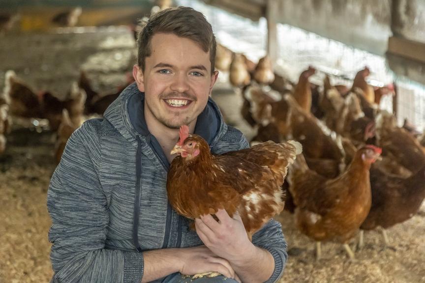 "Wir sind seit eineinhalb Monaten vorbereitet" – Stallpflicht in Vorarlberg