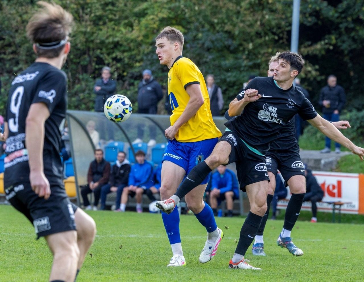 Wolfurt Stürmer Finn Bolkart will sein Torkonto erhöhen.Paulitsch