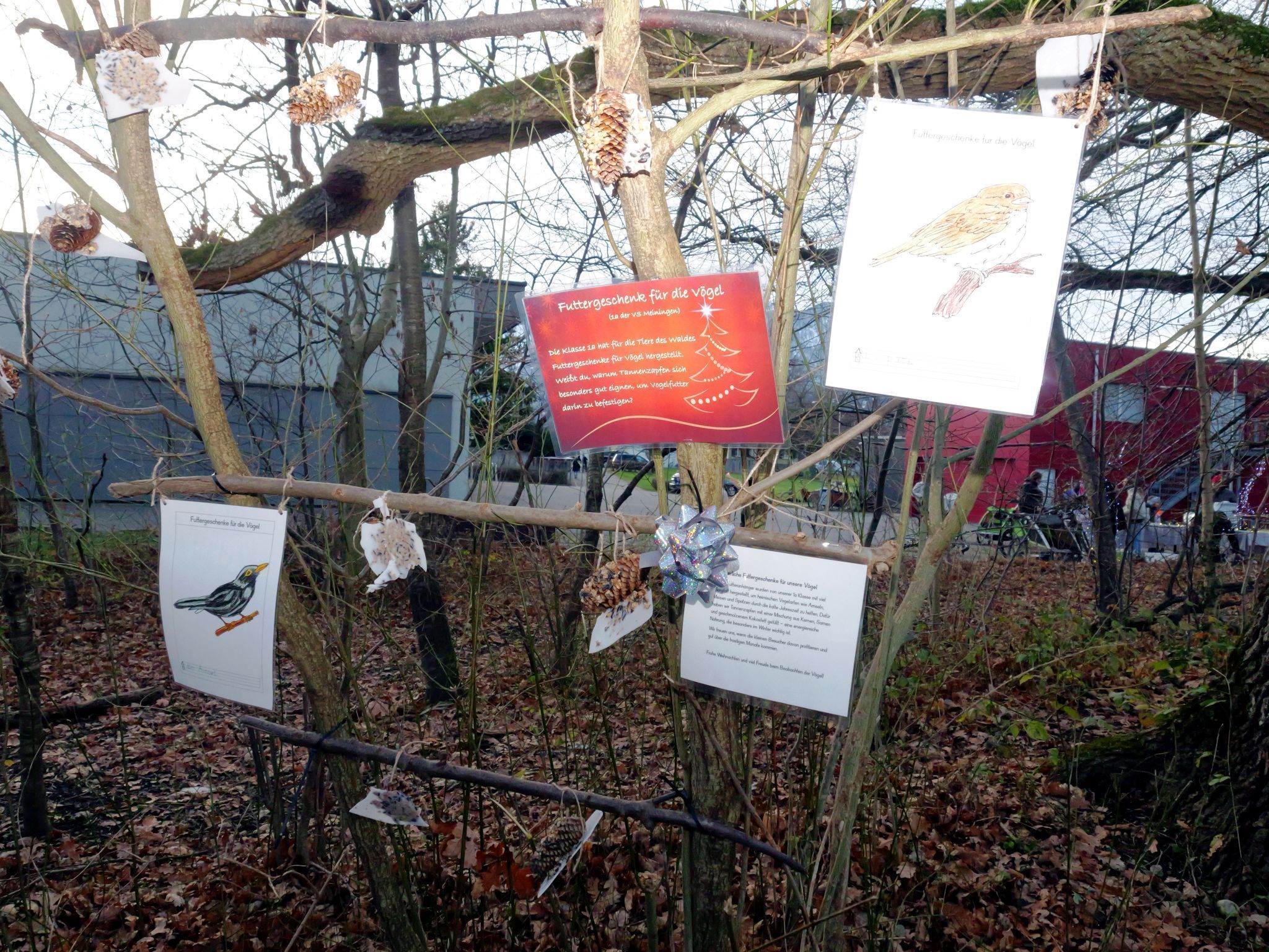 Selbstgemachte Futtergeschenke der 1a aus Naturmaterialien helfen den Waldvögeln durch den Winter.