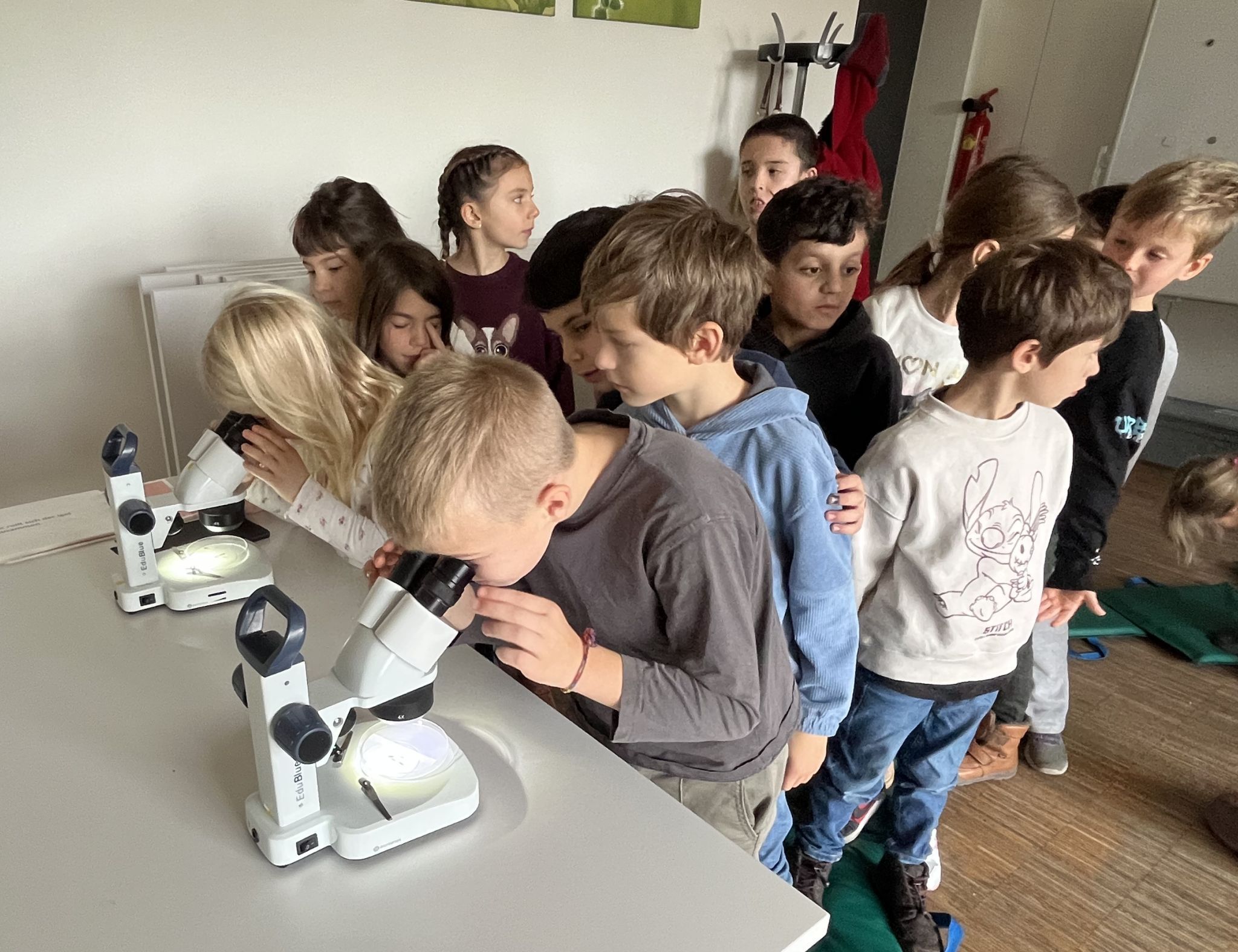 Dichtes Gedränge rund um das Mikroskop.