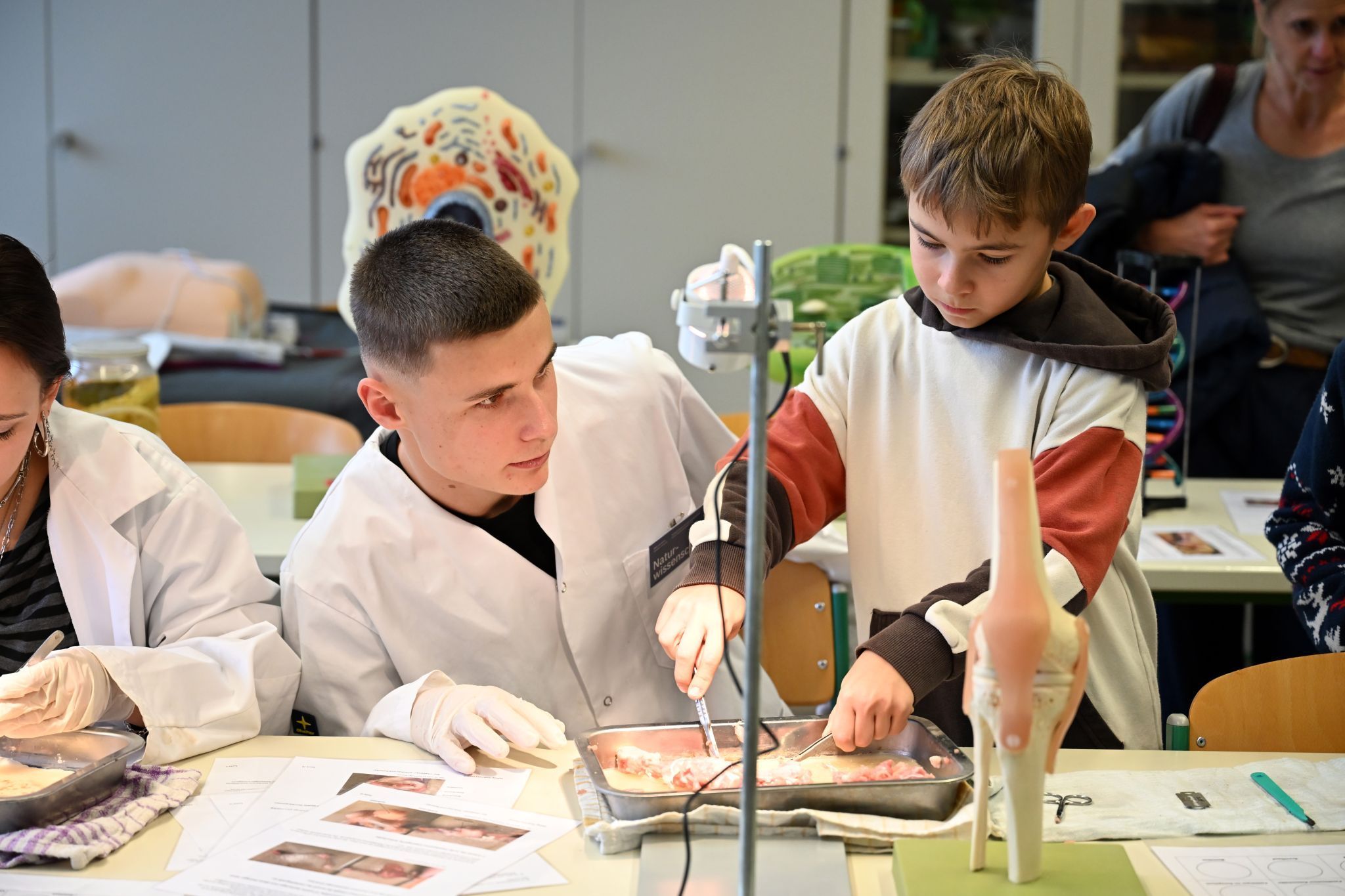 Die Oberstufenschüler erklärten geduldig, wie man am Mikroskop arbeitet und Proben untersucht.
