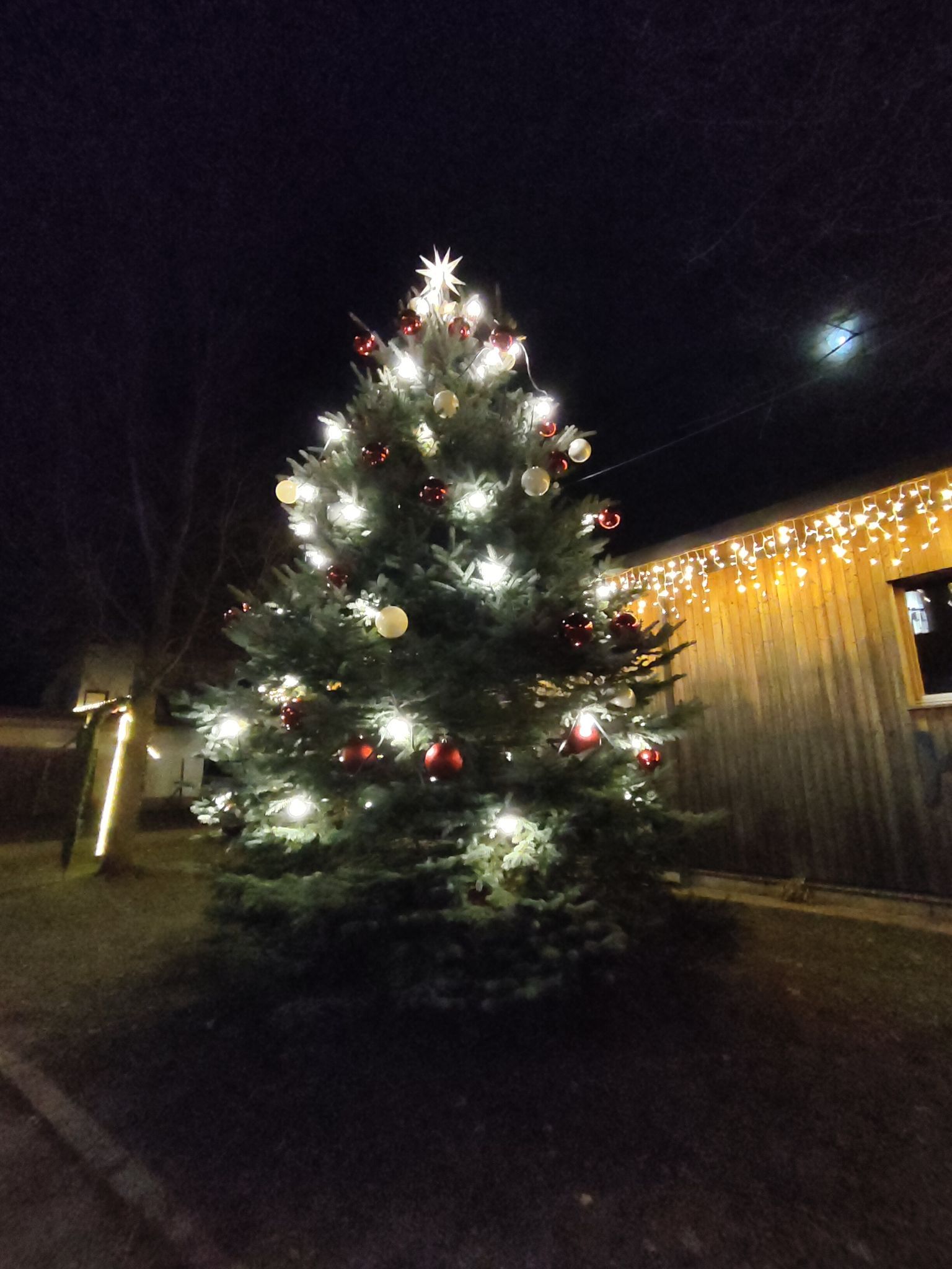 Strahlender Mittelpunkt: Der festlich geschmückte Baum wird zum Treffpunkt für die ganze Gemeinde.
