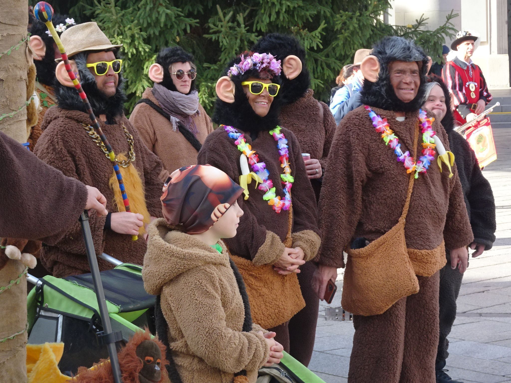 Was für ein Affenzirkus am Dornbirner Marktplatz!