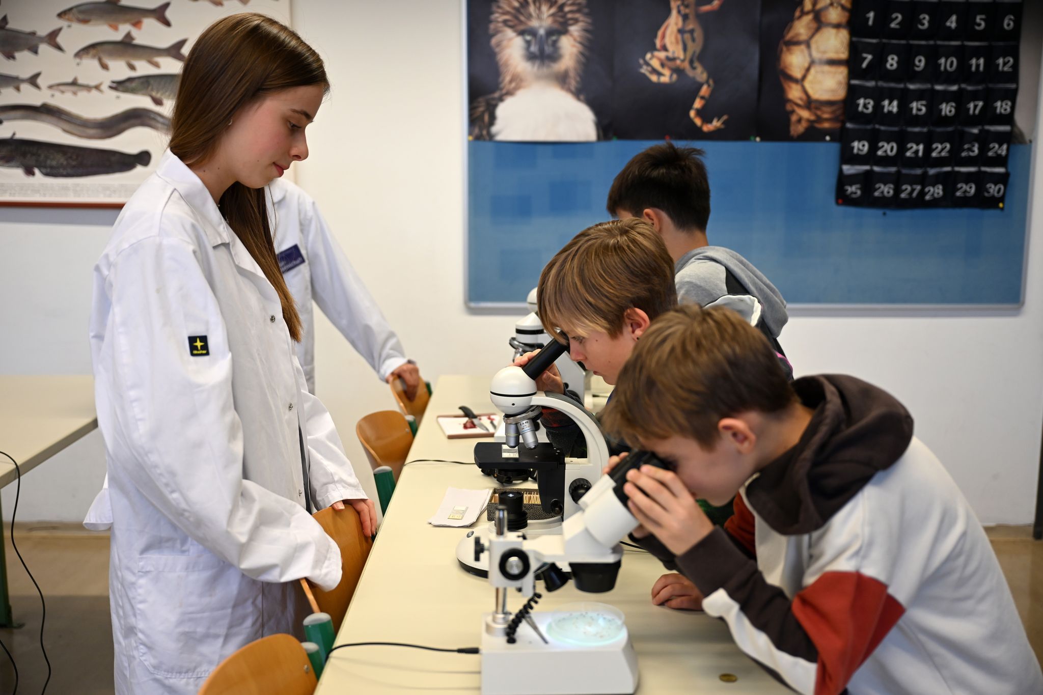 Die Oberstufenschüler erklärten geduldig, wie man am Mikroskop arbeitet und Proben untersucht.