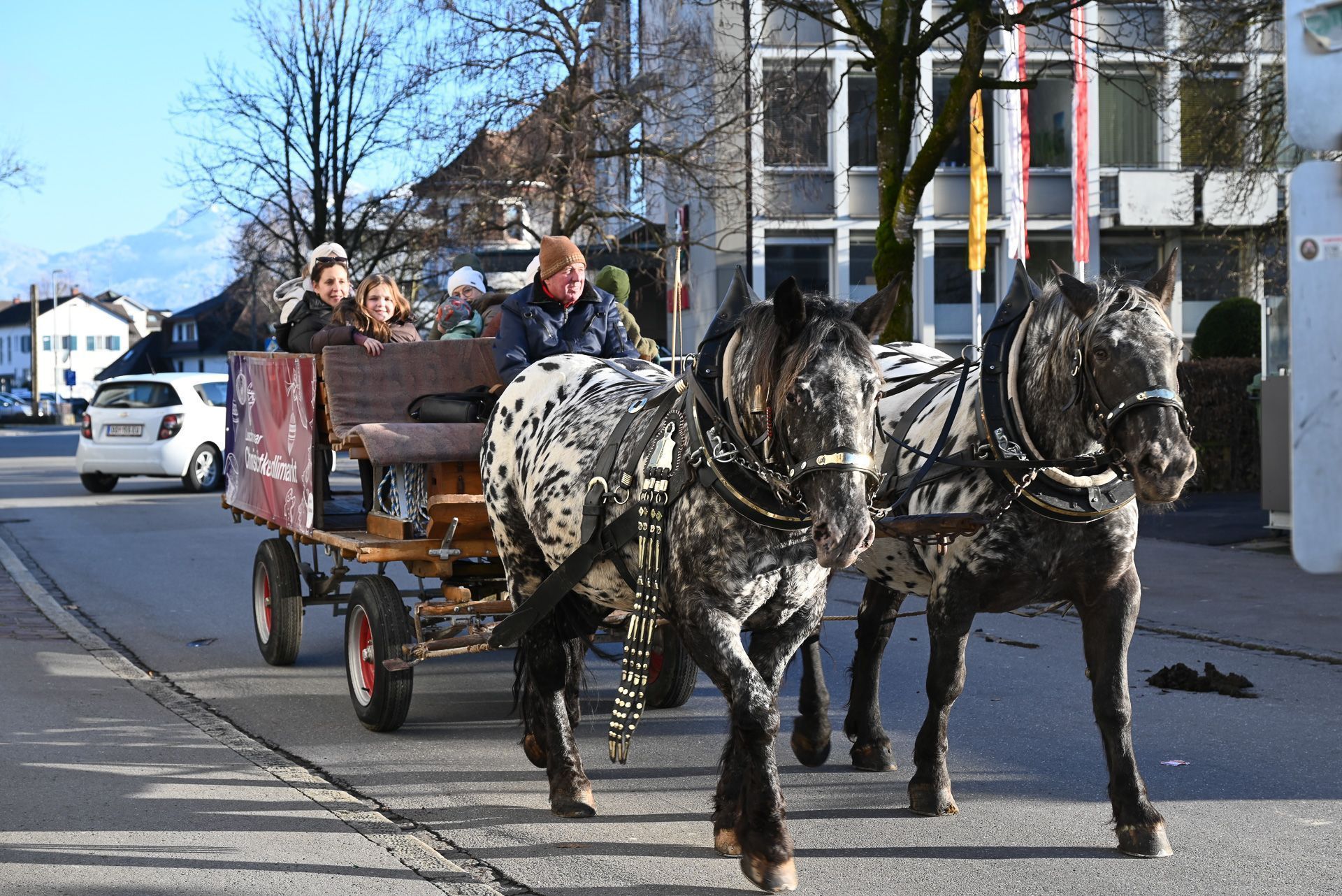 Jedes Jahr dreht Manfred Fitz mit seinen Pferden und der Kutsche kostenlos seine Runden und macht den Markt durch diese Fahrt für viele Kinder unvergesslich.