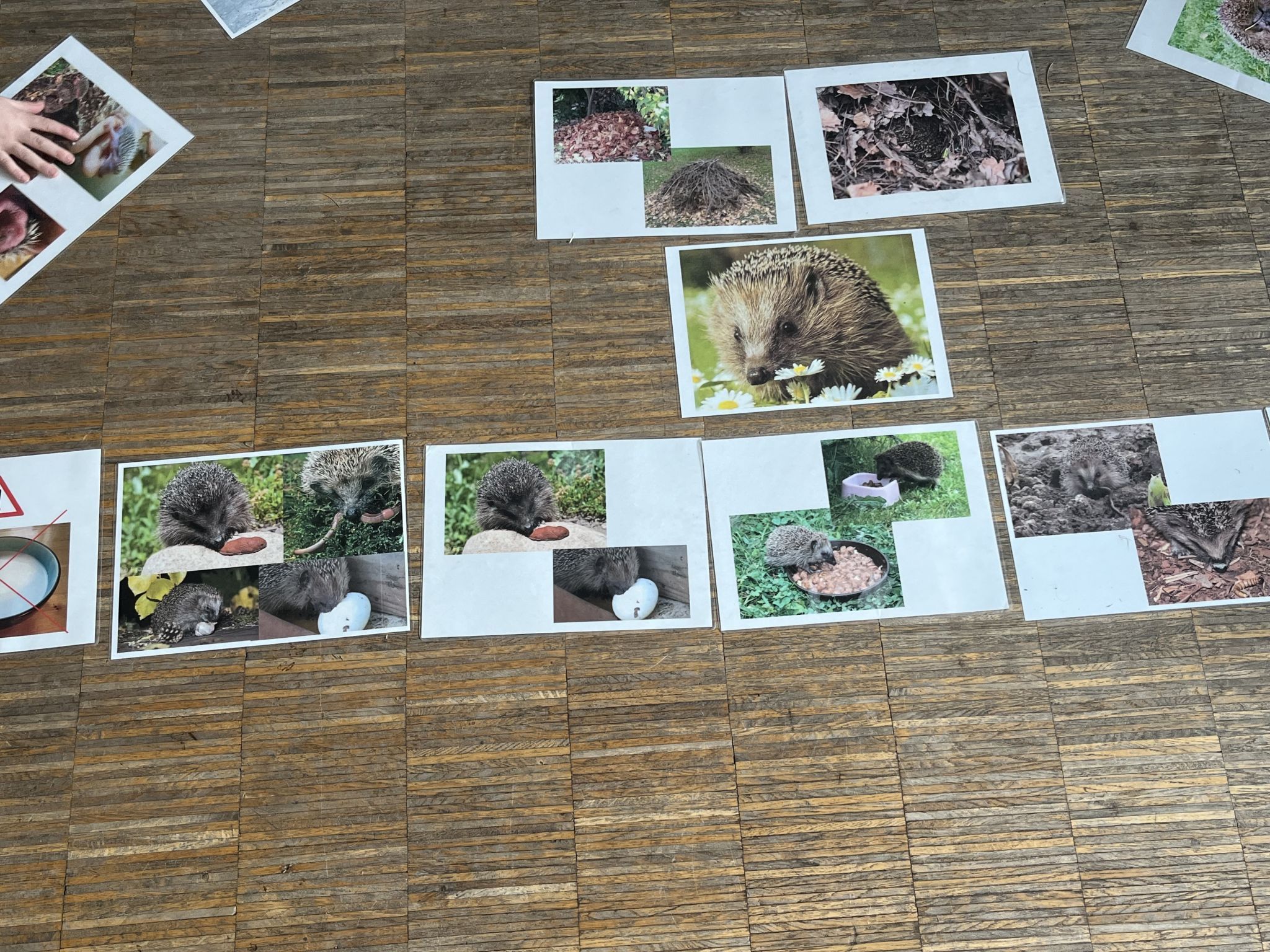 Die Karten mussten in der richtigen Reihenfolge ausgelegt werden.