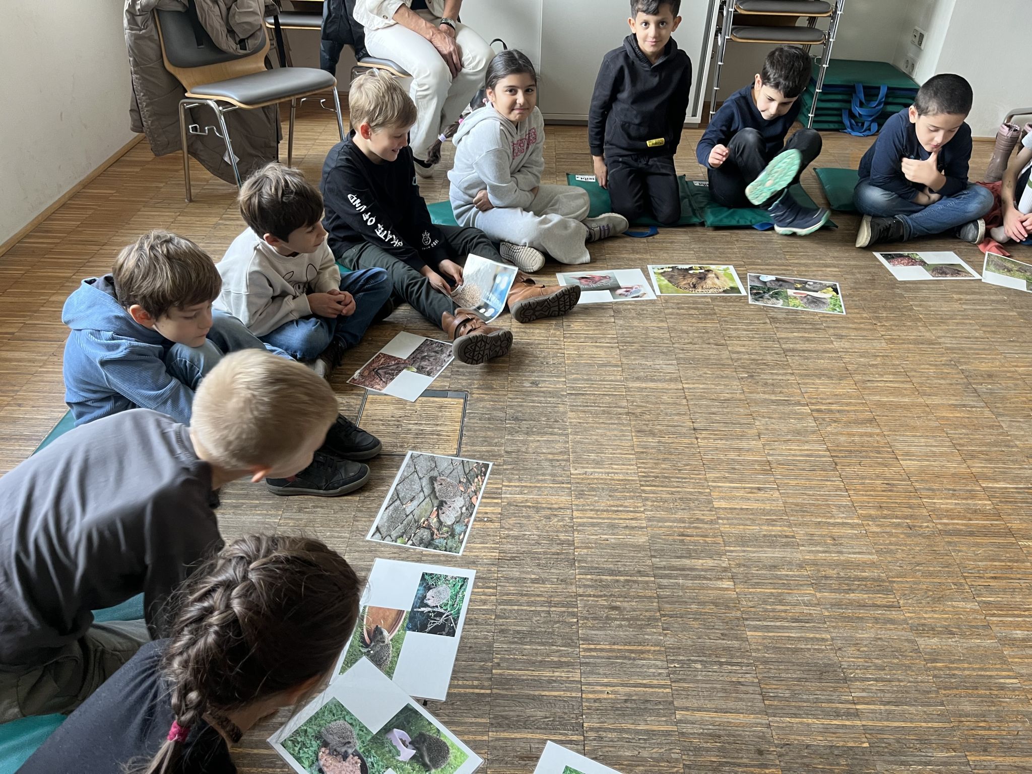 Anhand der Igelkarten lernten die Kinder allerhand Neues über den stacheligen Säuger.