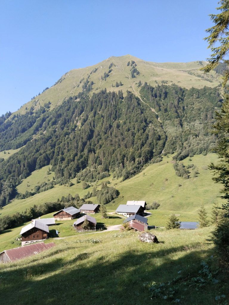 Auf Felders Spuren: Wie ein Nachfahre das Erbe des Bregenzerwälder Sozialreformers lebendig hält