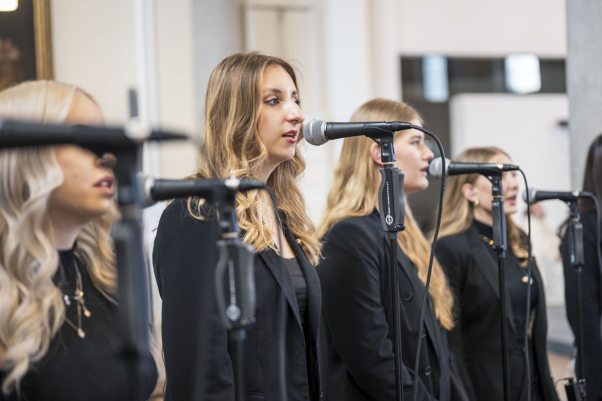 Alle Mitglieder haben ganz unterschiedliche musikalische Biografien. 