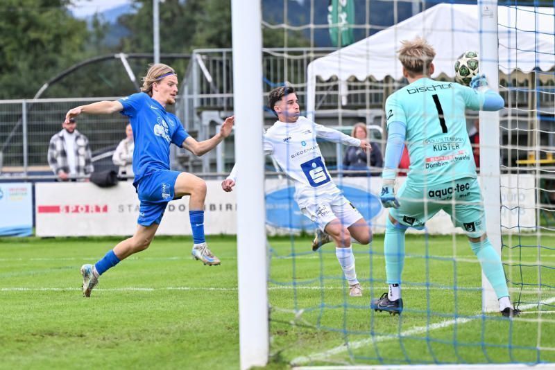 Familienduell im Hause Katnik