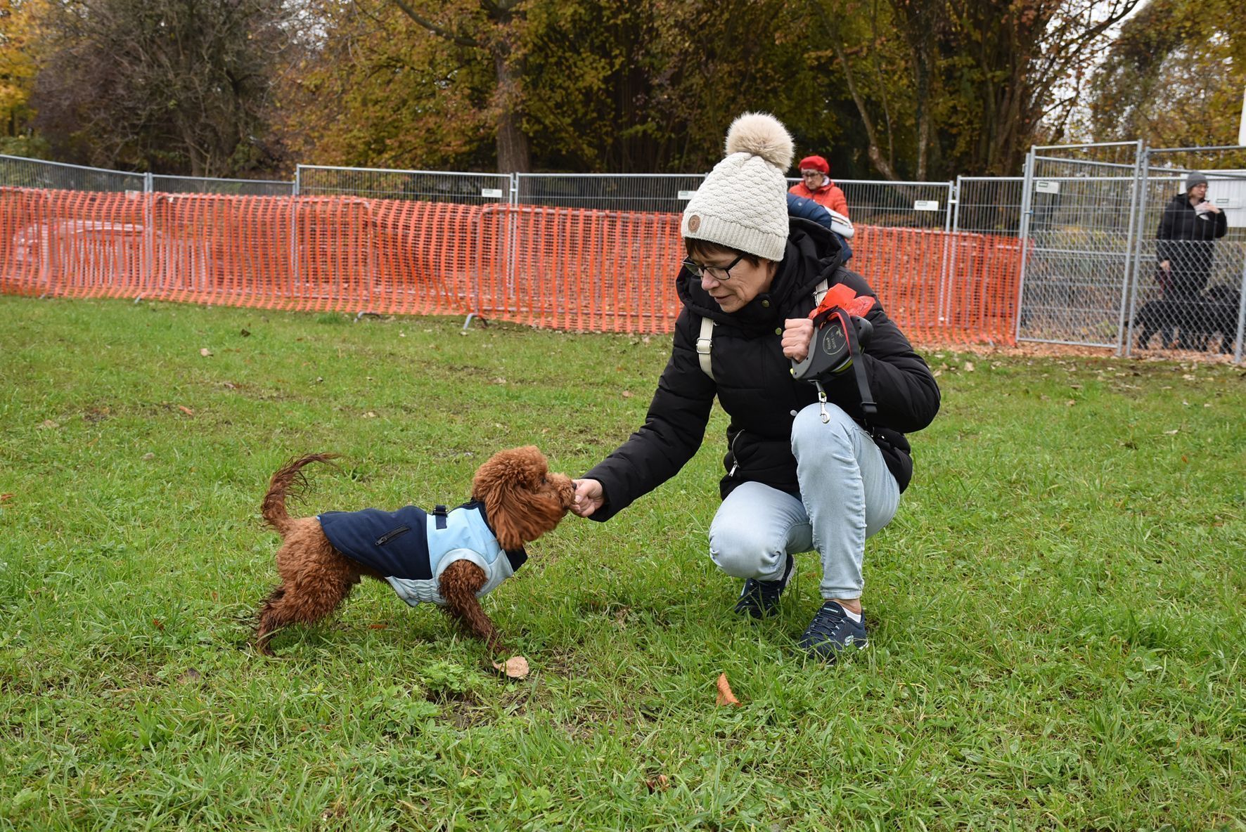 Hundeleckerlie für Pudeljunge 