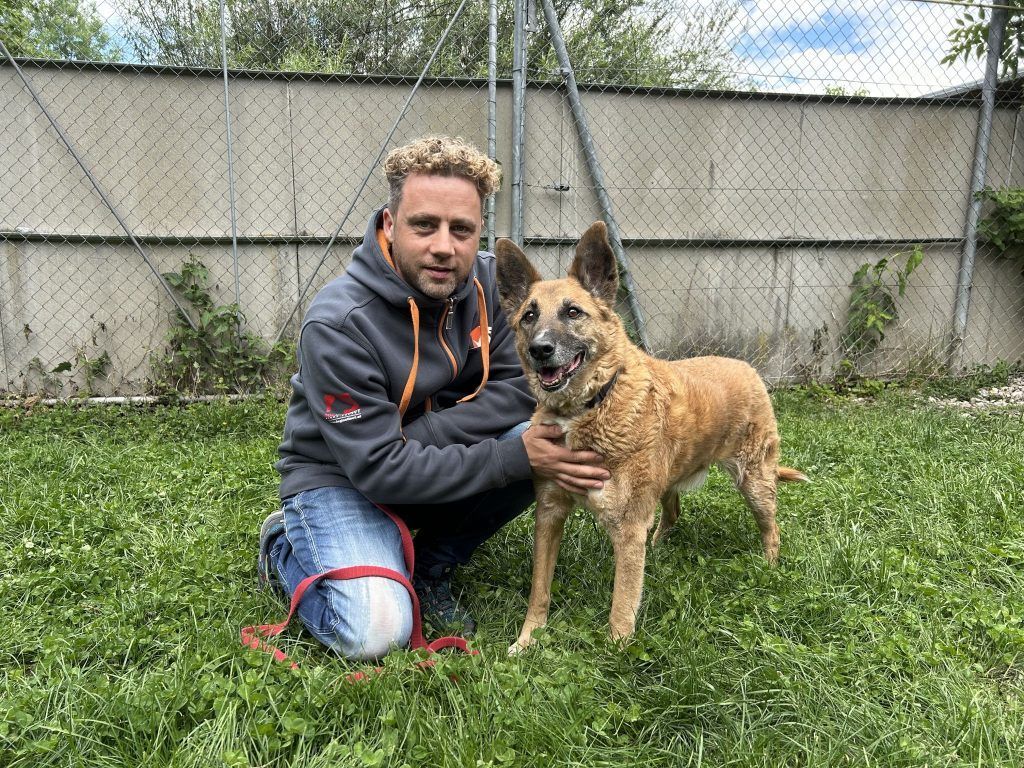 Bengy liebt alles und jeden