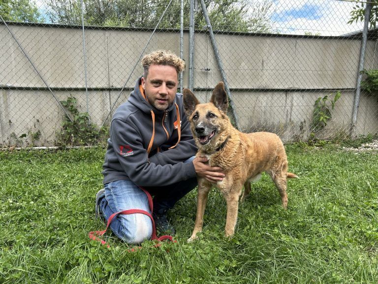 Bengy liebt alles und jeden